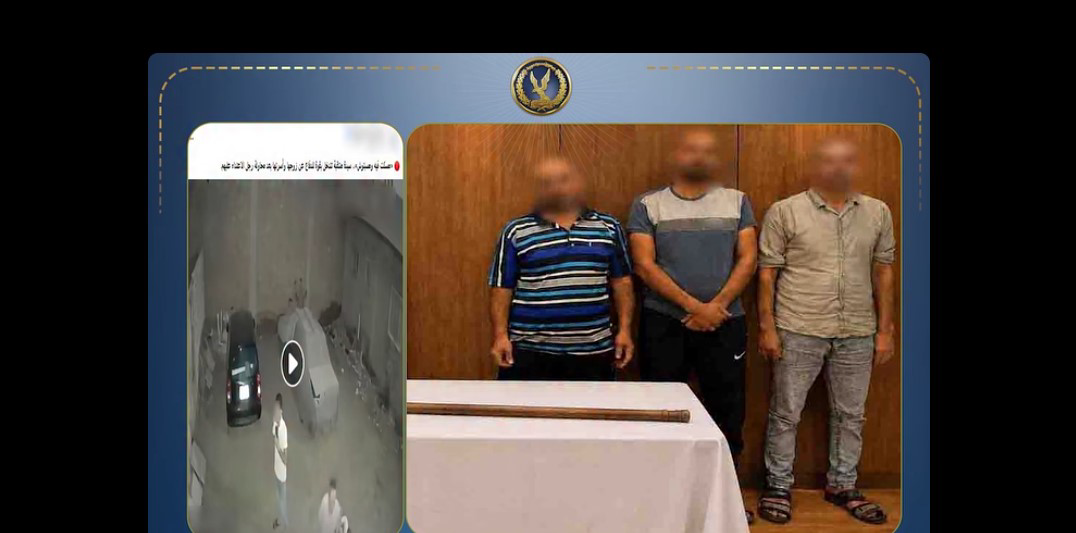 حقيقة فيديو مشاجرة  طوخ .. خلافات الجيرة تنتهي بالعصا الخشبية وإصابات